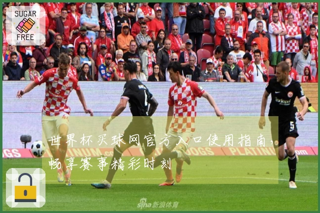 世界杯买球网官方入口使用指南，畅享赛事精彩时刻