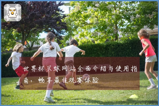 世界杯买球网站全面介绍与使用指南，畅享最佳观赛体验