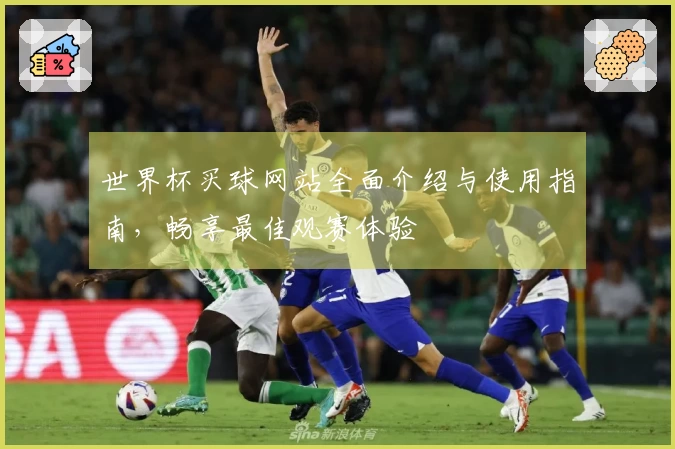 世界杯买球网站全面介绍与使用指南，畅享最佳观赛体验