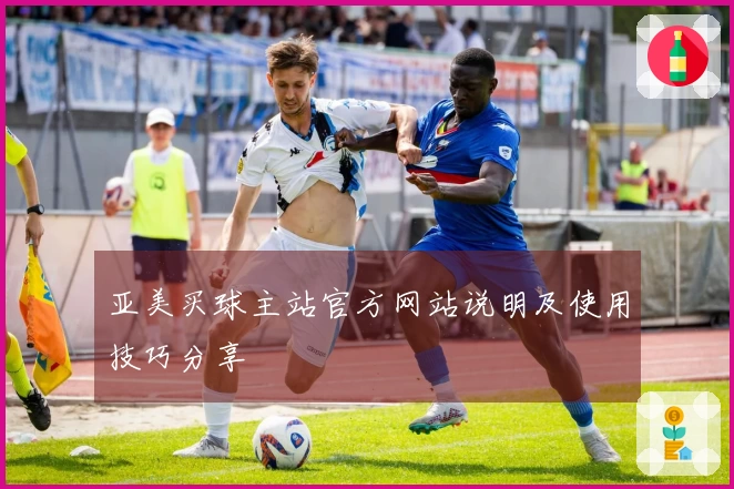 亚美买球主站官方网站说明及使用技巧分享