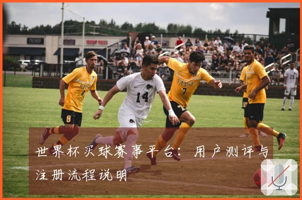 世界杯买球赛事平台：用户测评与注册流程说明