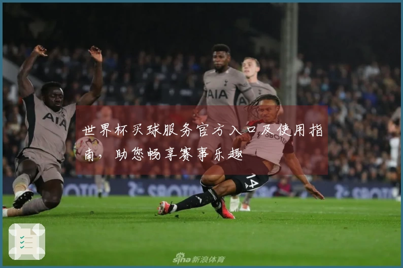 世界杯买球服务官方入口及使用指南,助您畅享赛事乐趣