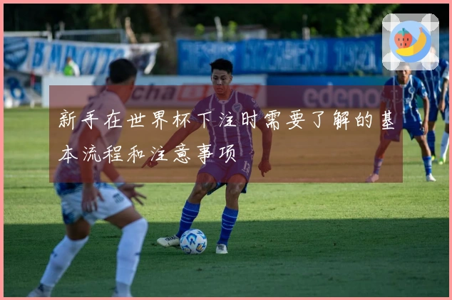 新手在世界杯下注时需要了解的基本流程和注意事项