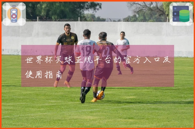 世界杯买球正规平台的官方入口及使用指南