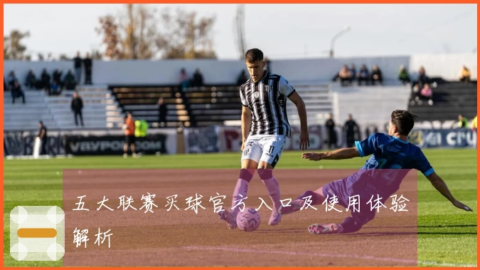 五大联赛买球官方入口及使用体验解析