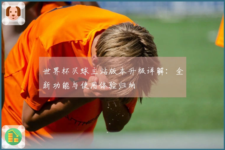 世界杯买球主站版本升级详解：全新功能与使用体验归纳