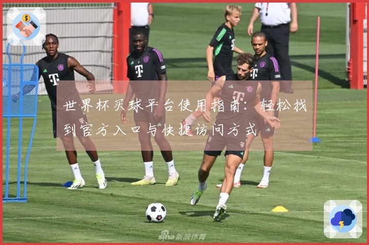 世界杯买球平台使用指南：轻松找到官方入口与快捷访问方式