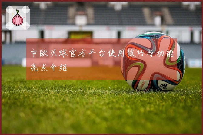 中欧买球官方平台使用技巧与功能亮点介绍