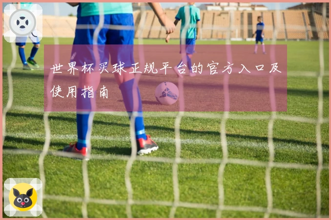 世界杯买球正规平台的官方入口及使用指南
