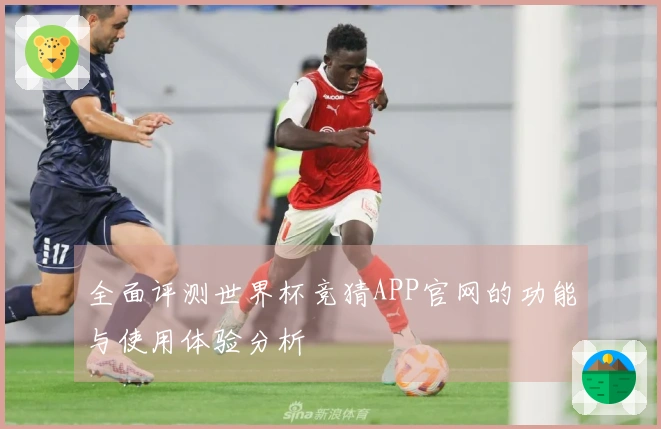 全面评测世界杯竞猜APP官网的功能与使用体验分析