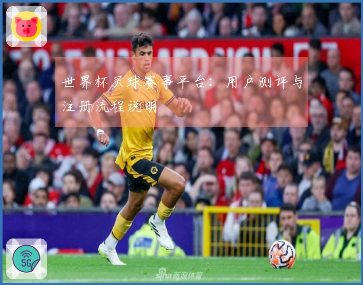 世界杯买球赛事平台：用户测评与注册流程说明
